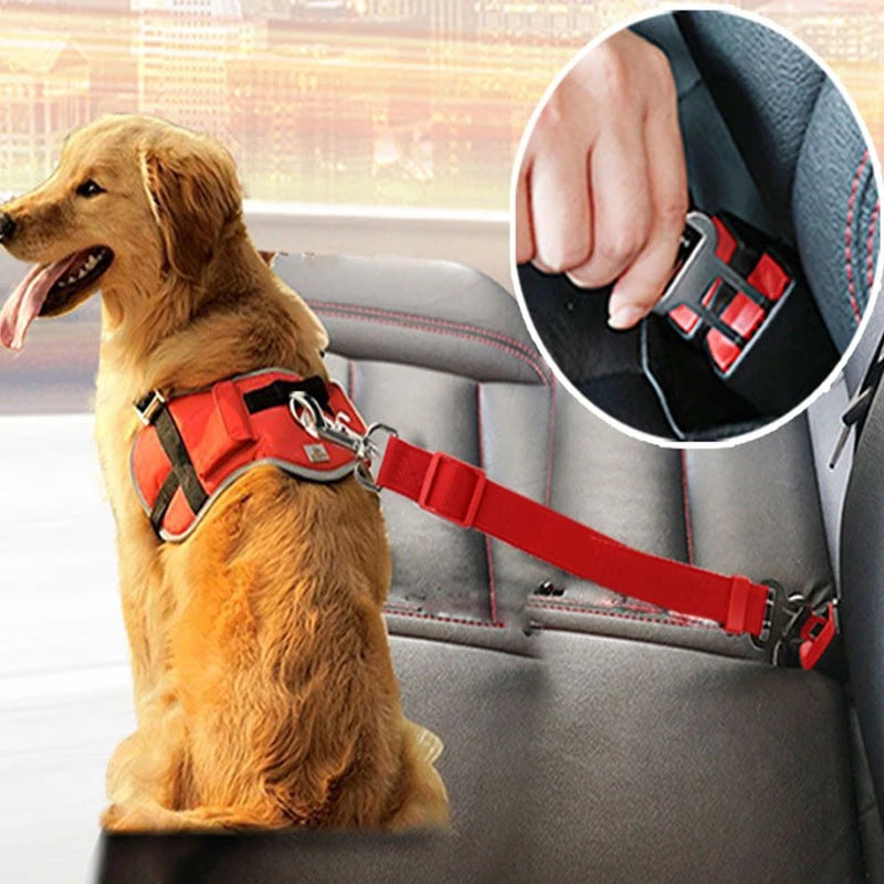 Correa de seguridad para perros