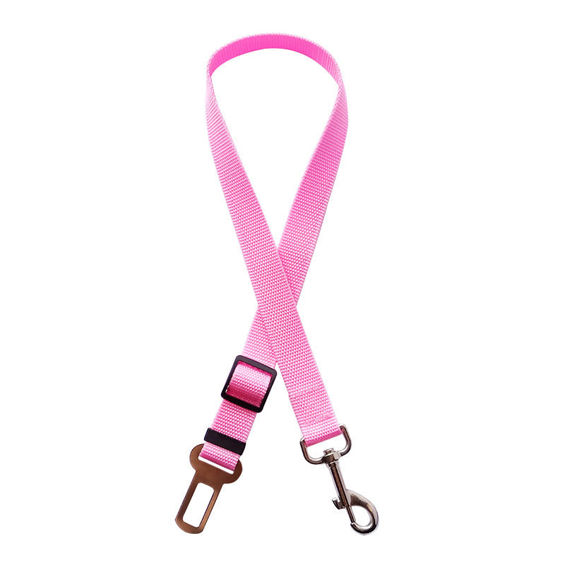 Correa de seguridad para perros