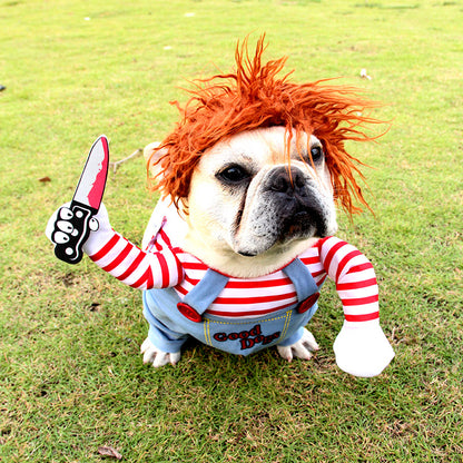 Disfraz de Halloween para mascotas.