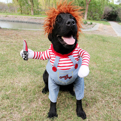 Disfraz de Halloween para mascotas.