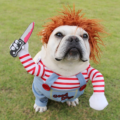 Disfraz de Halloween para mascotas.