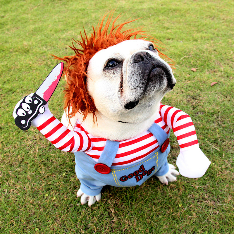 Disfraz de Halloween para mascotas.