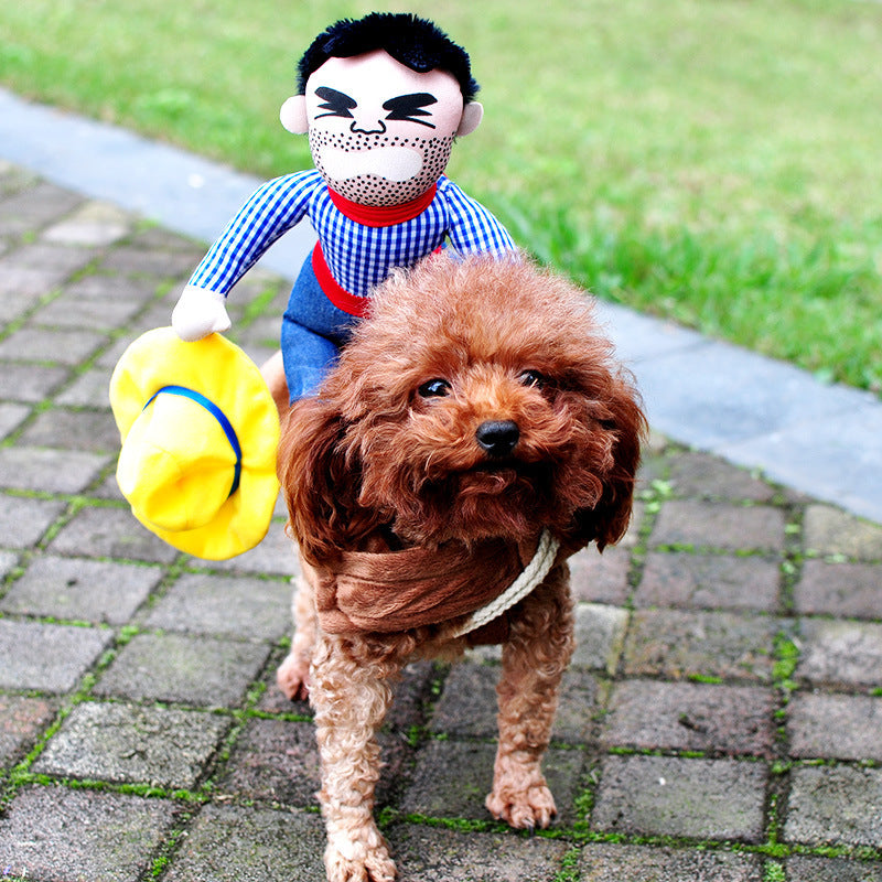 Disfraz de Halloween para mascotas.