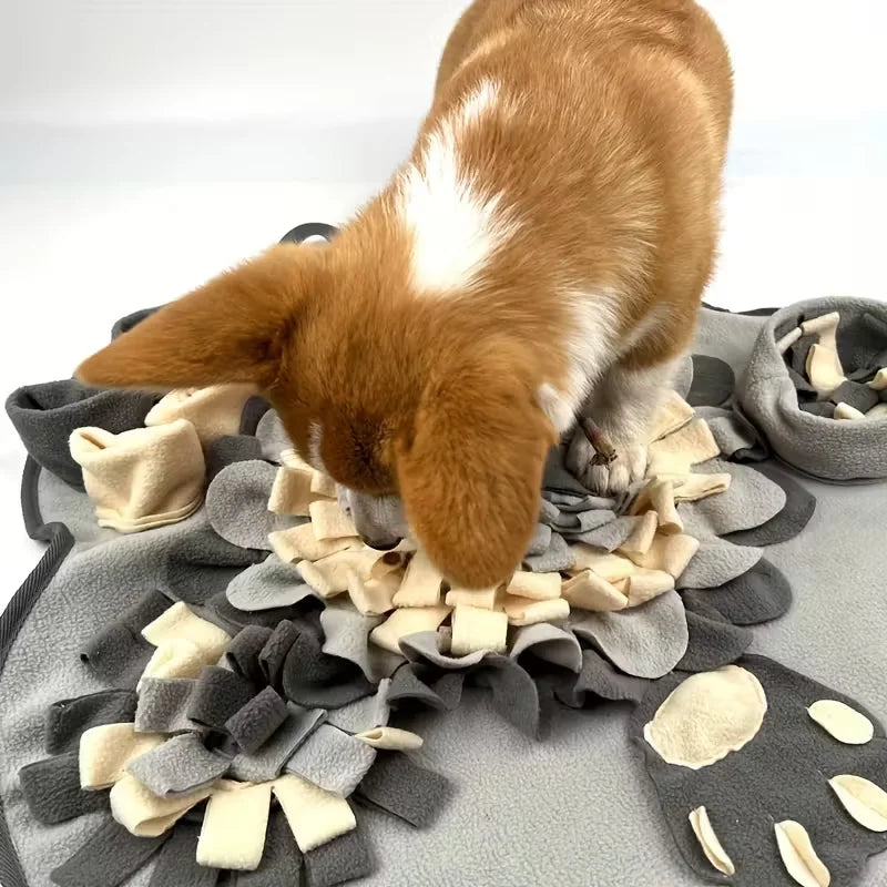 Alfombra olfativa para perros