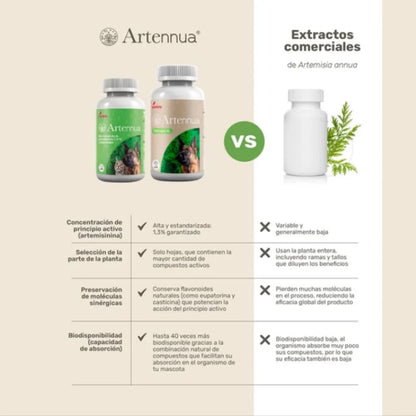 Artemisia annua - apoyo al sistema inmunitario y a la leishmaniasis | 90 cápsulas para perros y gatos